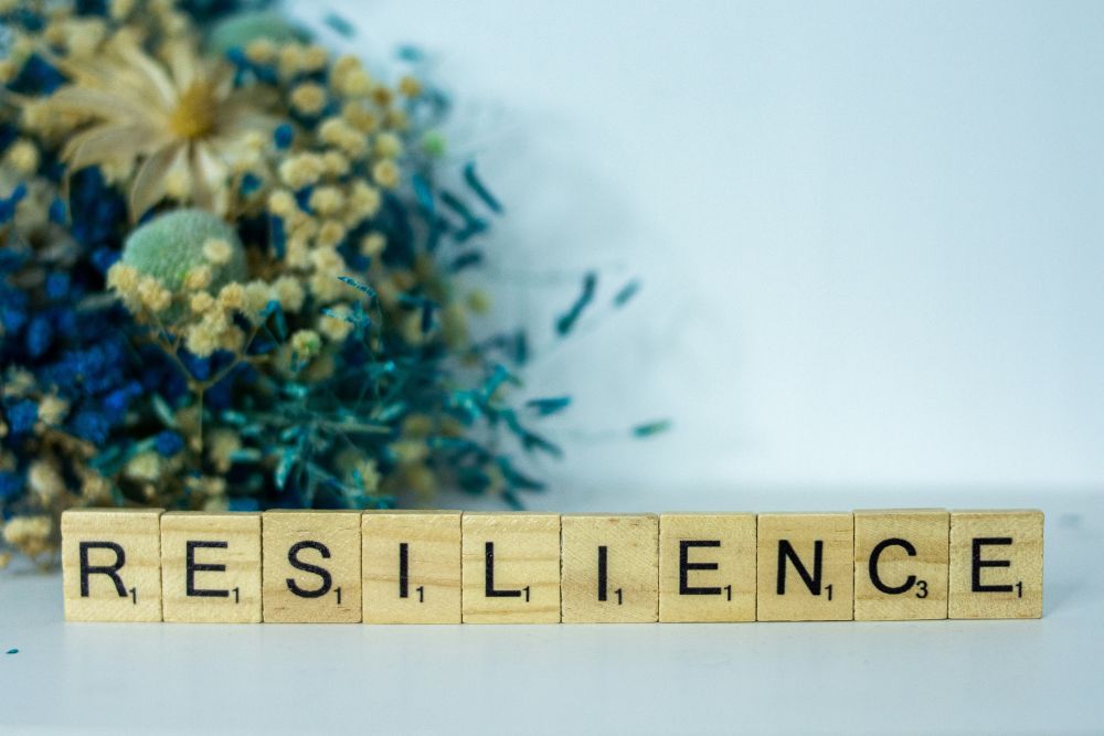 Organisationsresilienz